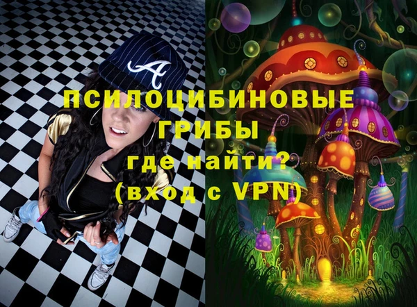 твердый Верхний Тагил