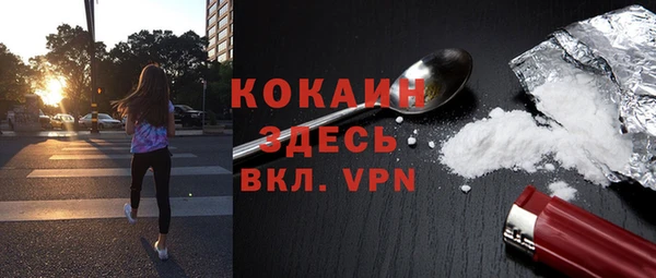 твердый Верхний Тагил