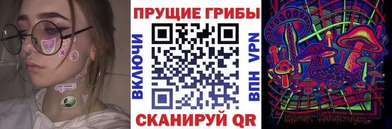 Галлюциногенные грибы Magic Shrooms  где продают   Королёв 
